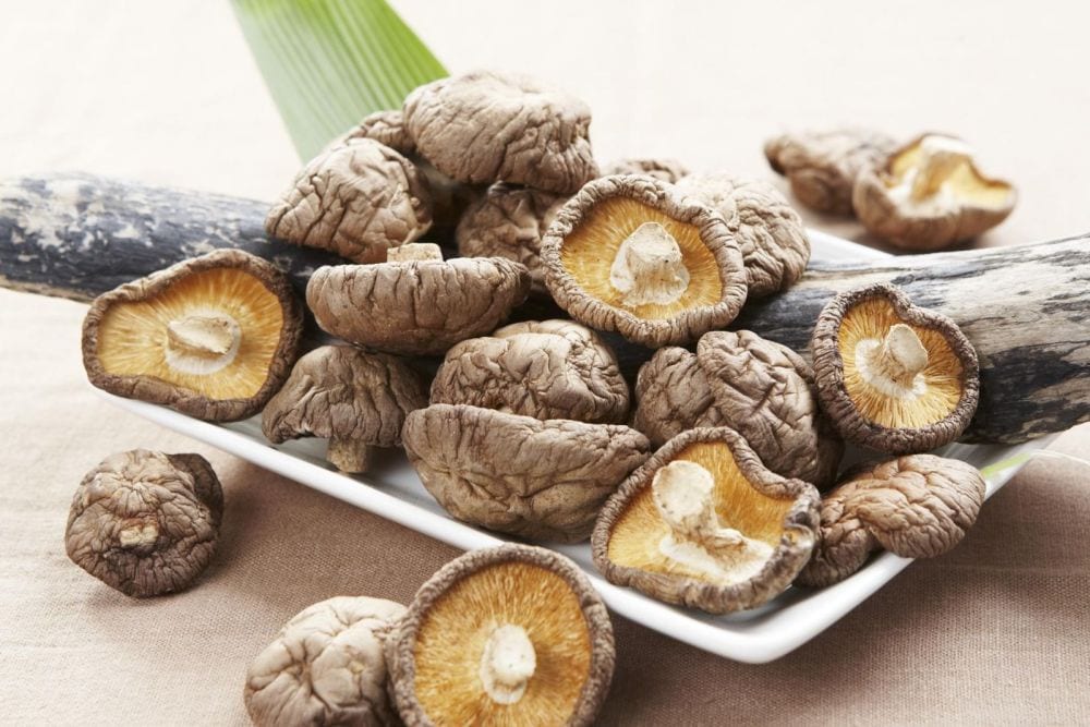 Nắm hương rừng
